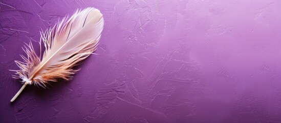 A purple background with three white feathers on it