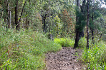 Adventure: Woodland Walk near Atherton Town Centre