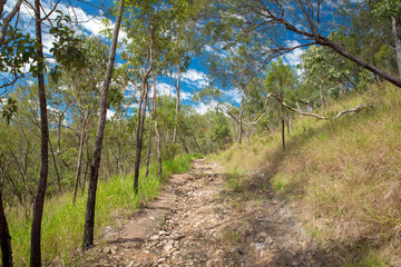 Obraz premium Adventure: Woodland Walk near Atherton Town Centre