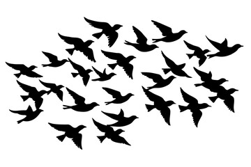 flock of birds silhouette vector illustration