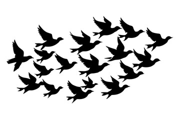 flock of birds silhouette vector illustration