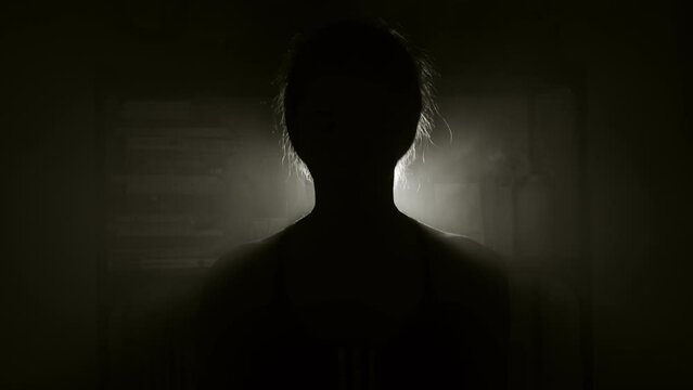 Anonymous girl talking in the dark, silhouette of a girl indoors, books on the background, light with fog, fog machine, low key footage, unknown human