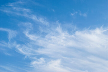 gentle clouds in the blue sky