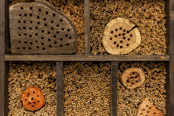 Bee house close-up, Mason bee reeds, bug hotel in the garden