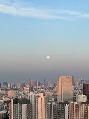 Fototapeta premium city skyline at dusk