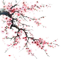 Elegant Sakura Watercolor Branches: Delicate Cherry Blossoms Artfully Positioned on a Transparent Background for Graceful Design Use.
