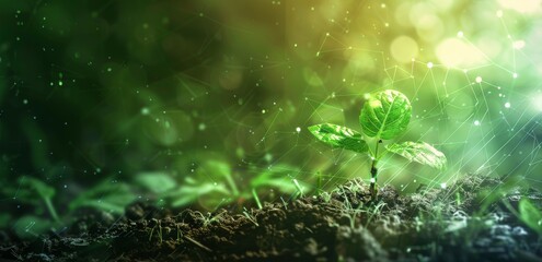 A growing plant sprout stands on the soil, green background with light effects and icons of environmental protection, technology, energy saving concept banner, wide format, high resolution