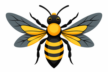 bee vector illustration