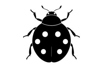 ladybird insect silhouette vector illustration