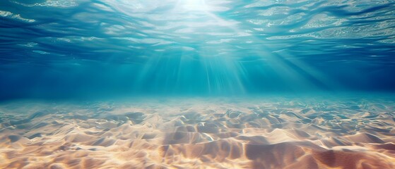 Fototapeta premium underwater scene with reef