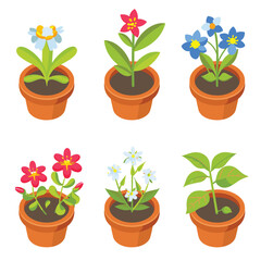 Six potted plants featuring colorful flowers, green leaves, brown pots. Isometric vector illustration suitable gardening, spring themes, botanical concepts. Ideal graphics educational materials