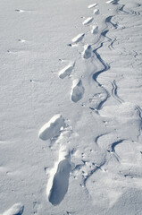 Footprints