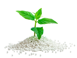 Young plant sprouting from a pile of white fertilizer pellets, symbolizing growth and agricultural productivity on a white background.