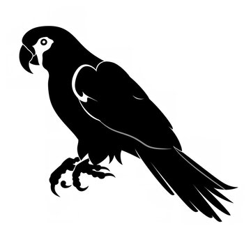 recommend clip art: Black Color Silhouette of a Parakeet: Clean