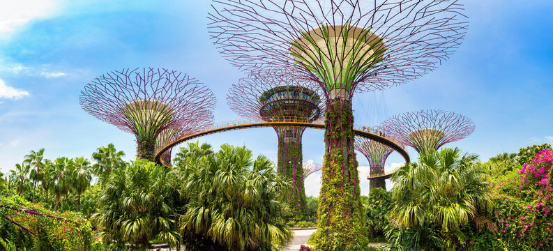 Gardens by the Bay in Singapore