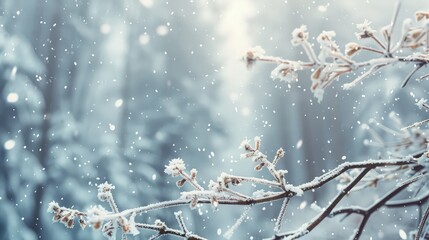 A low angle perspective of a frosty forest scene, where the focus is on snow-covered branches with a backdrop of softly falling snow creating a blurry effect.