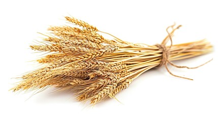 A sheaf of golden wheat 