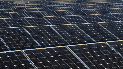 Photovoltaic Solar Panels in Solar Farm