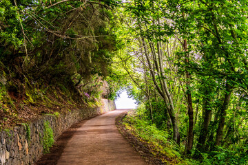 Fototapeta premium Sendero en la Corujera, Tenerife.