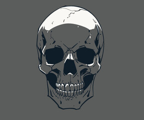 Vector illustration sketch of the skull and crossbones