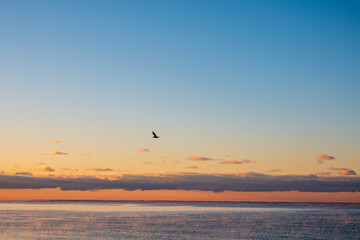A lone gull is silhouetted against a chilly, autumn, morning sky over Lake Ontario viewed from a Northumberland County beach.