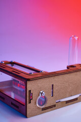 ant farm