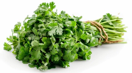 Fototapeta premium fresh coriander isolated on white background. clean fresh vegetables concept for deisgner