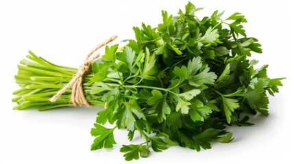 bunch of fresh parsley isolated on white background, food nature concept for designer 