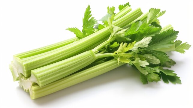 fresh celery stalk isolated on white background. food vegetable concept