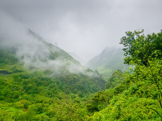 Lush green trees and mist shroud a mountain slope