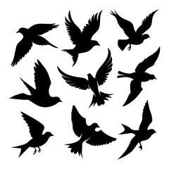 Fototapeta premium set of silhouettes of birds