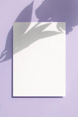 Obraz premium 식물 그림자와 카드 목업