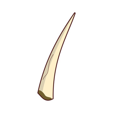 tusk for dynamic digital projects and designs.