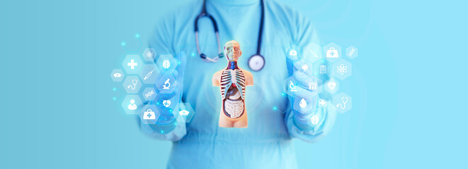 The doctor analyzes an anatomical model. Periodic medical checkup concept. Telemedicine. light blue...