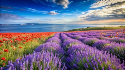 Naklejka premium Serenely majestic wild field of lavender and poppy flowers stretches towards the horizon, beneath a brilliant blue sky, with the sea shimmering in the distance.