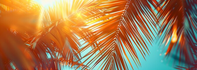 Summer abstract background with palm tree leaves