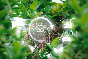 Reduce CO2 emission concept, global warming, Concept depicting the issue of carbon dioxide...