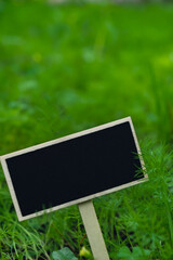 Blank Black billboard against green field garden fresh green herb dill. Empty mockup template Blackboard label at farm land. Copy space banner for your text. Agricultural landscape advertisement
