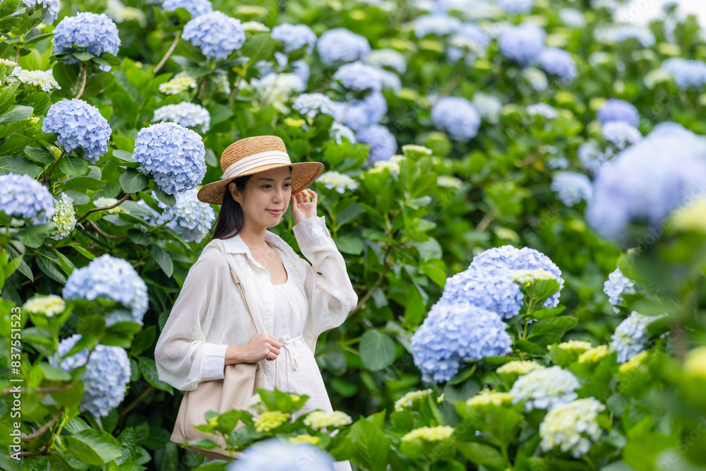 Poster Pregnant woman visit the Hydrangea farm