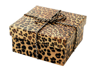 Elegant gift box adorned with a leopard print design, featuring a stylish ribbon. Perfect for special occasions and celebrations.