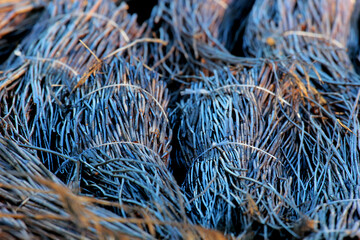 in bundles of reeds