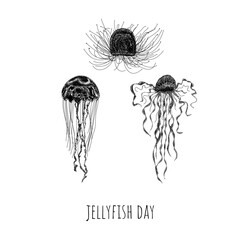 jellyfish day hand drawing vector isolated on background.