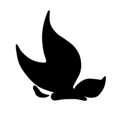 the beauty and diversity of nature through delicately crafted butterflies, adorned and created with simple elegance.