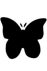 the beauty and diversity of nature through delicately crafted butterflies, adorned and created with simple elegance.