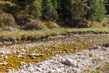 Shallow riverbed with a rocky bottom , unhurried flow of water, autumn walks in nature