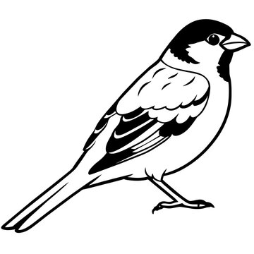 recommend clip art: silhouette of a bird