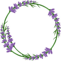 lavender Purple flowers