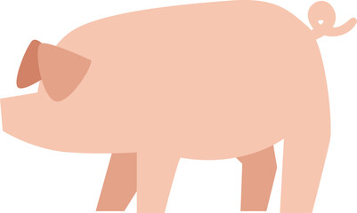 pig flat illustration
