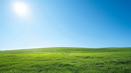 Obraz premium Bright sunny day in a lush green field with clear blue sky. Perfect for nature and landscape backgrounds showcasing tranquility and simplicity.