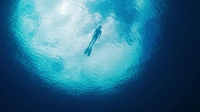 Underwater bottom view of the woman swimming in the sea